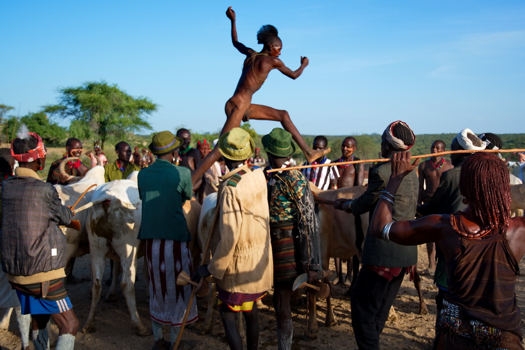 Bull jumping (Hamer)